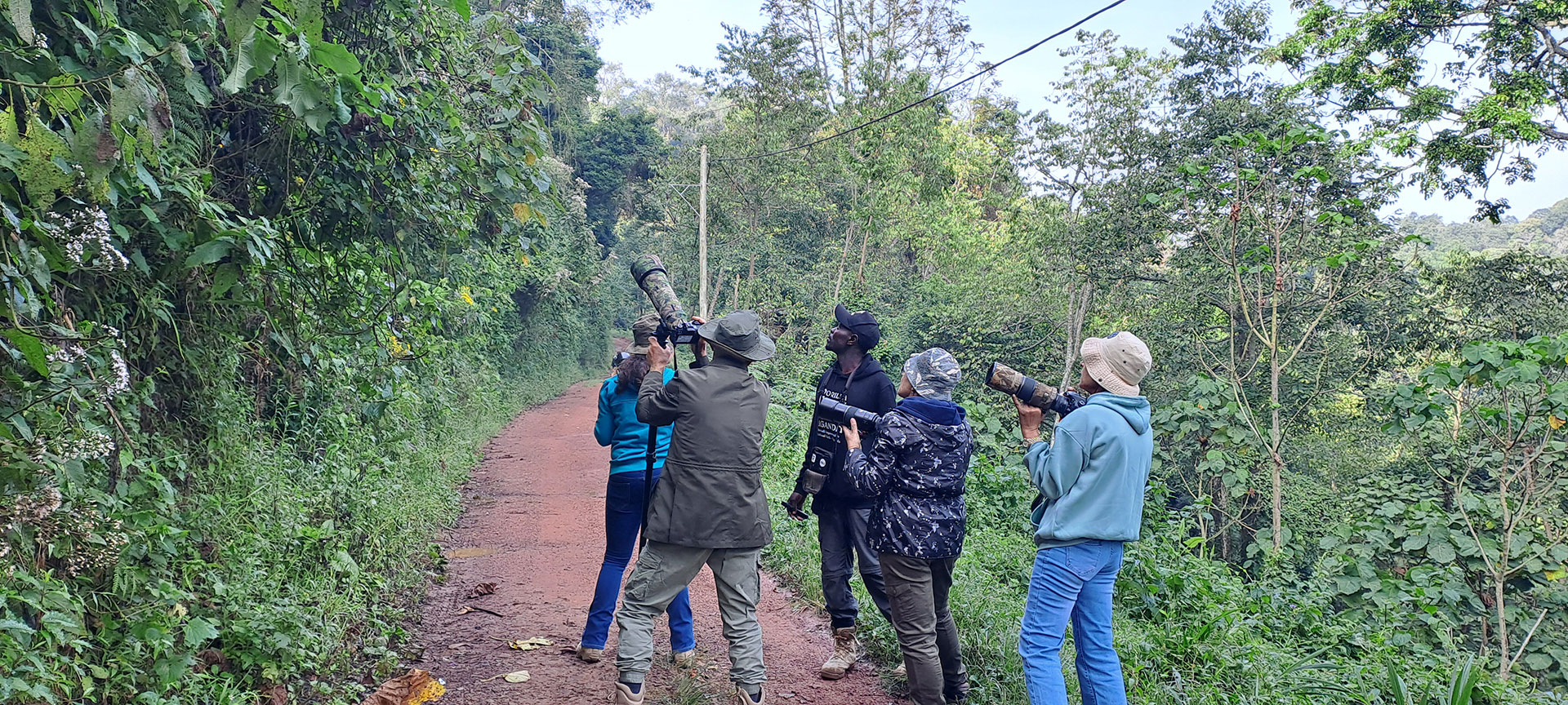Uganda bird tours