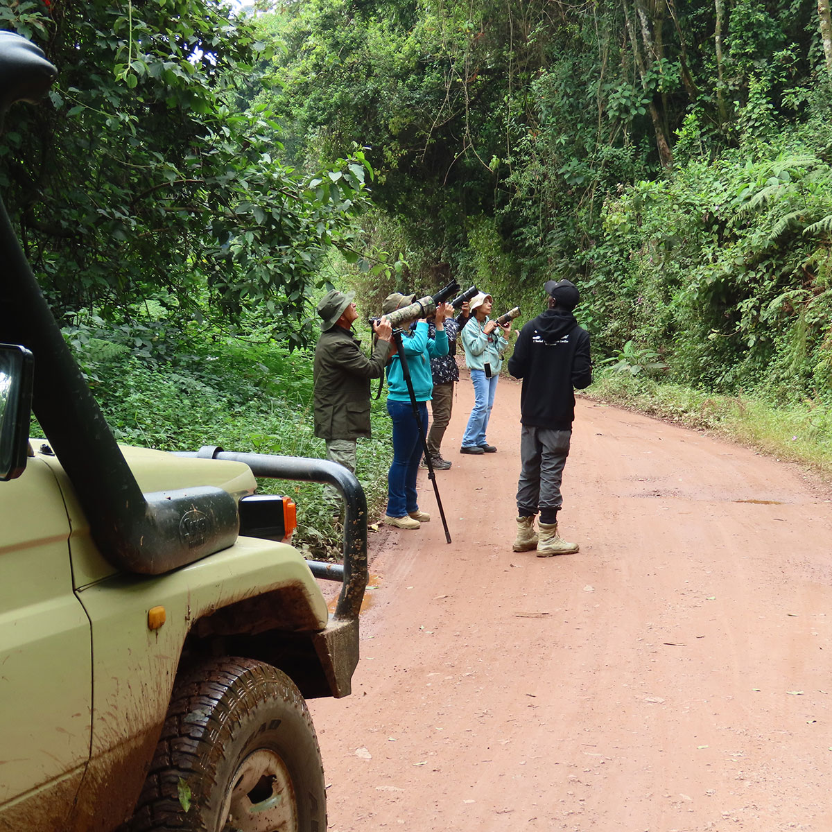 How to Prepare for a Bird Watching Safari in Uganda: What to Pack